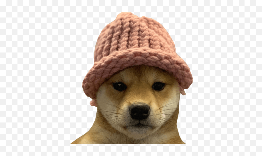 Dog Emojis Discord Emoji Dog,Doge Emoji free transparent emoji