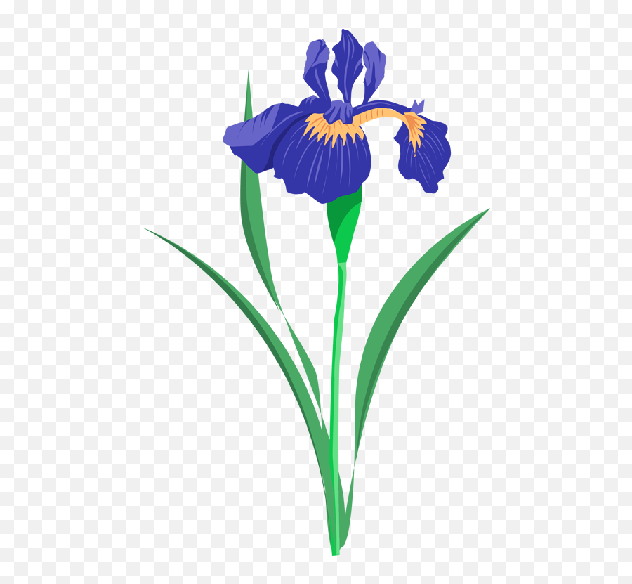 Iris Clipart Iris Clipart Emoji,Iris Emoji free transparent emoji