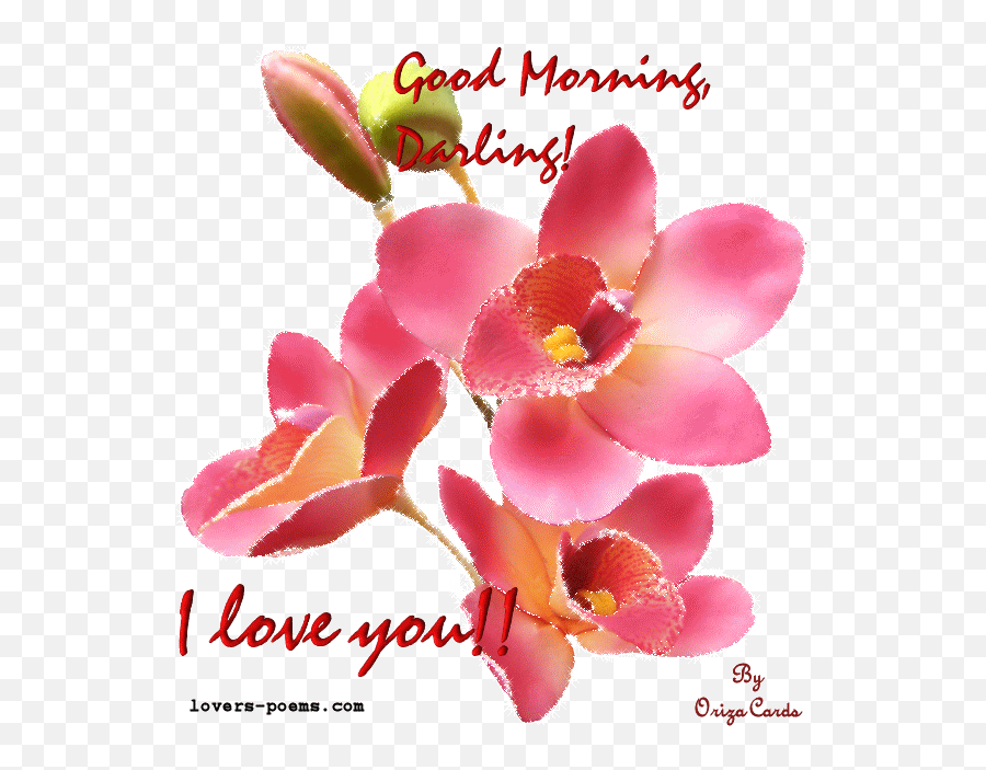 Library Of Good Morning Love Clipart Royalty Free Library Husband