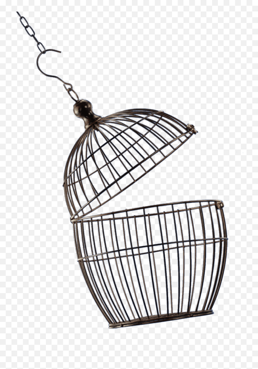 Cage Sticker By Karah Z Open Bird Cage Png Emoji,Cage Emoji free