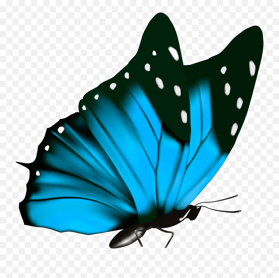 Avoid Testy Butterflies Blue Butterfly Butterfly Png Black Background Emoji,Blue Butterfly