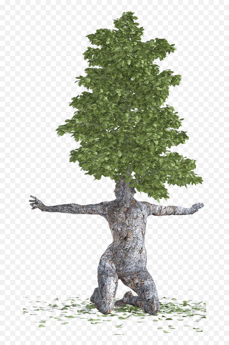 Evergreen Tree Bark Wood Emoji,Evergreen Emoji free transparent