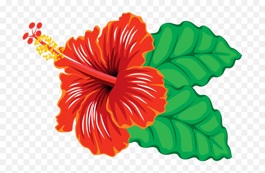 707 Hibiscus Flower Free Clipart Clipart Of Hibiscus Flowers Emoji