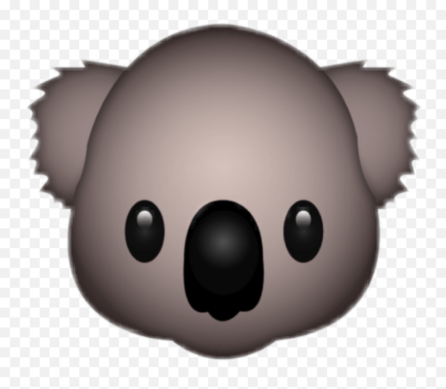 Popular And Trending Koala Stickers Koala Bear Emoji Png,Koala Emojis