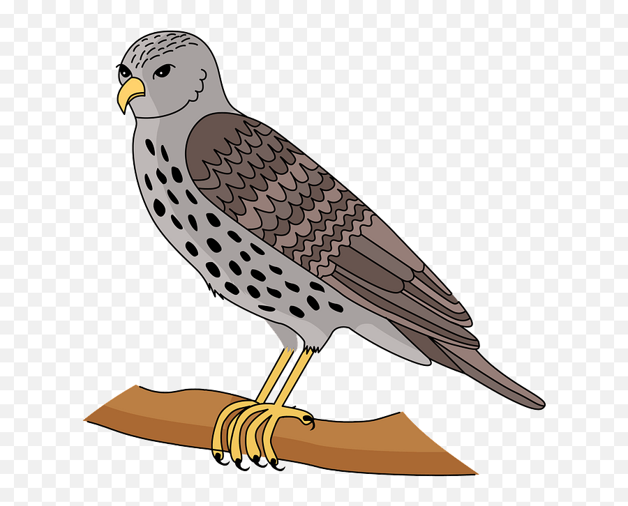 Clipart Of Hawk Hawk Emoji,Hawks Emoji free transparent emoji