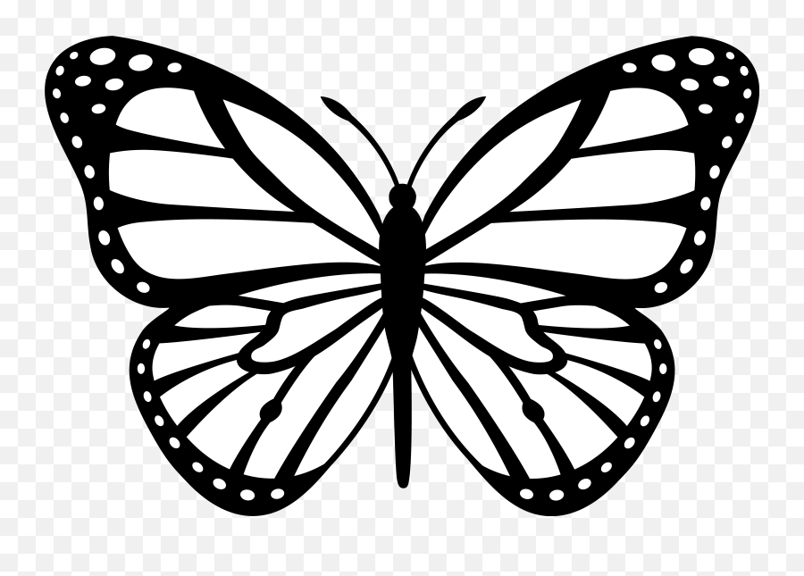 Butterfly Clipart Black And White Png Butterfly Clipart Black And