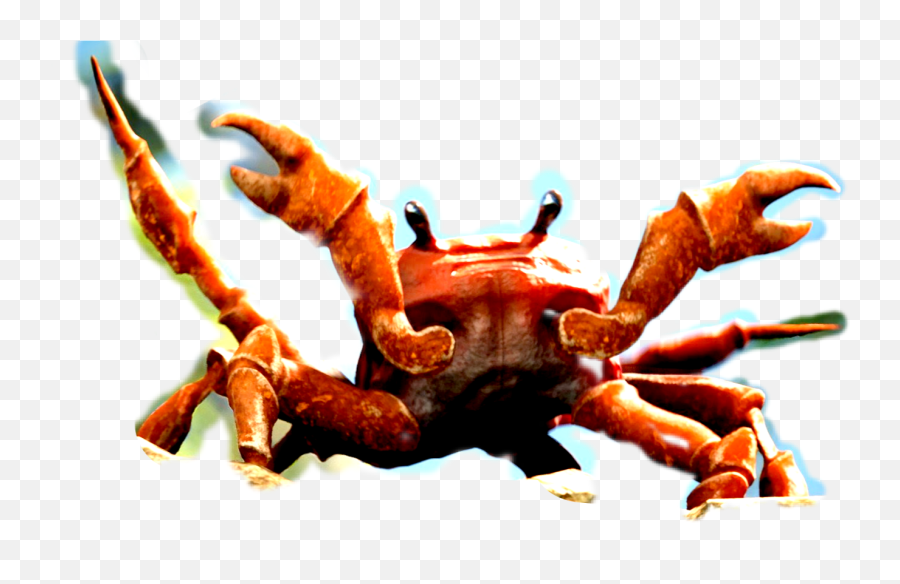 The Newest Rave Stickers Crab Rave Piano Letters Emoji,Crab Rave Emoji free transparent