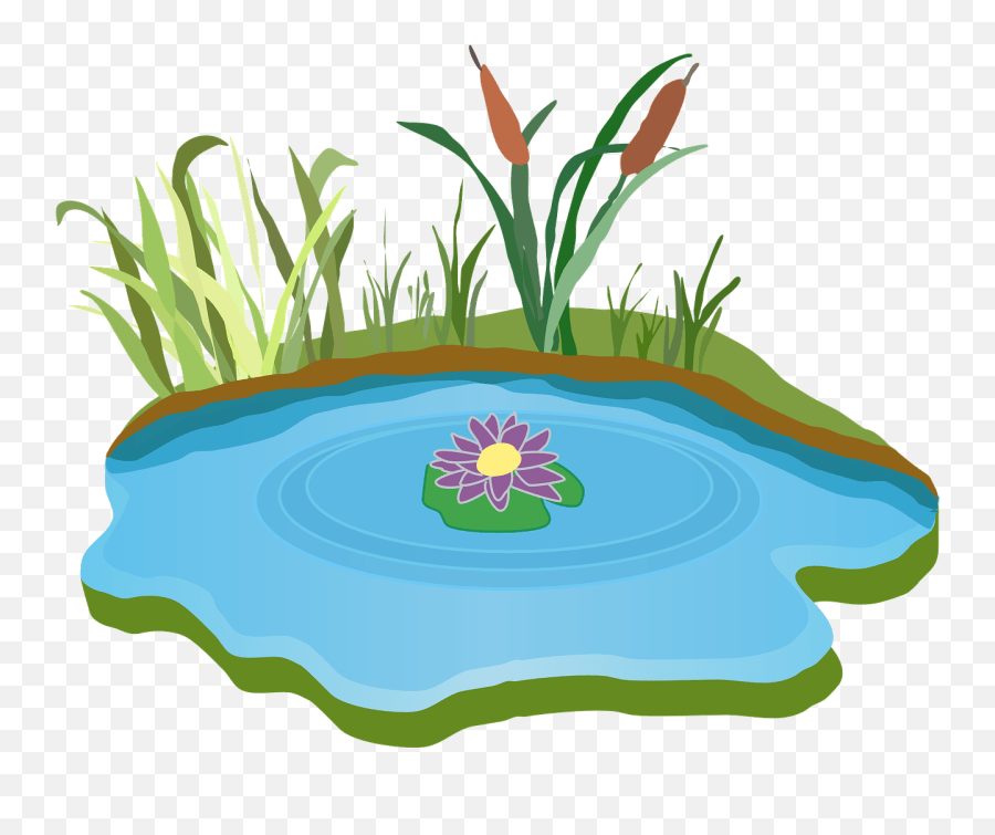 Pond Water Outdoor Grass Outdoors Pond Clipart Emoji,Lily Pad Emoji