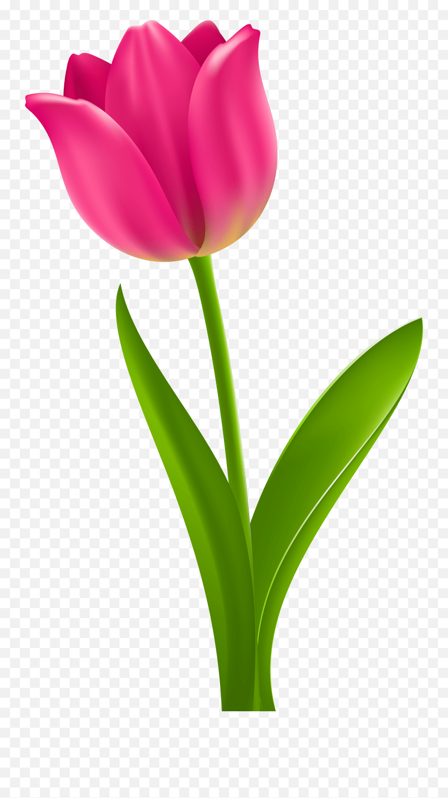 Tulips Clipart Tulip Clipart Emoji,Tulip Emoji free transparent emoji