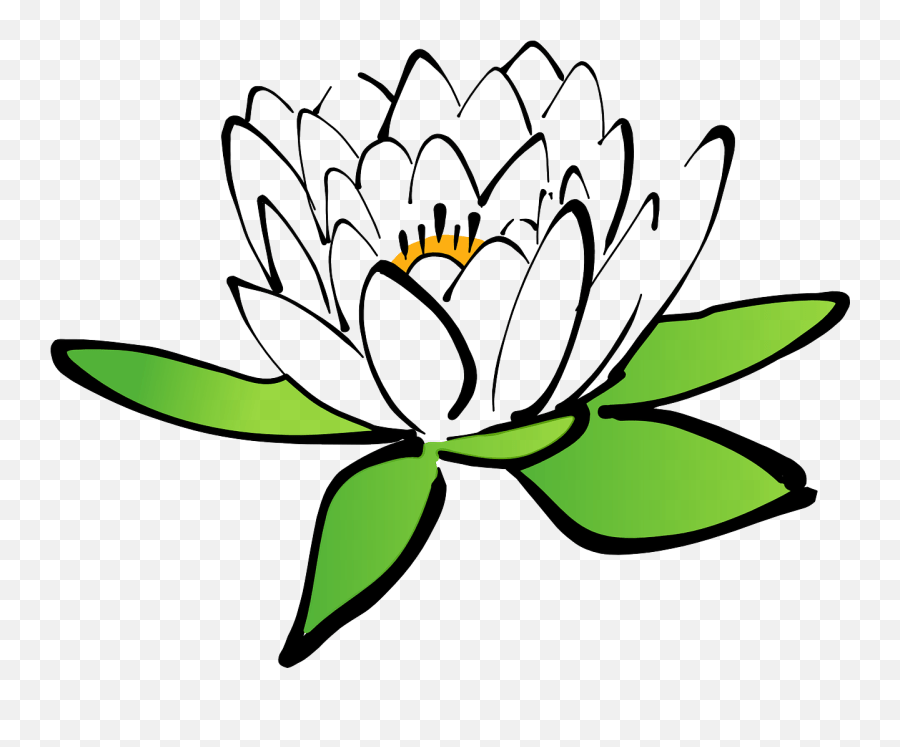 Lotus Flower Water Lily White Water Bunga Teratai Animasi Emoji,Lily