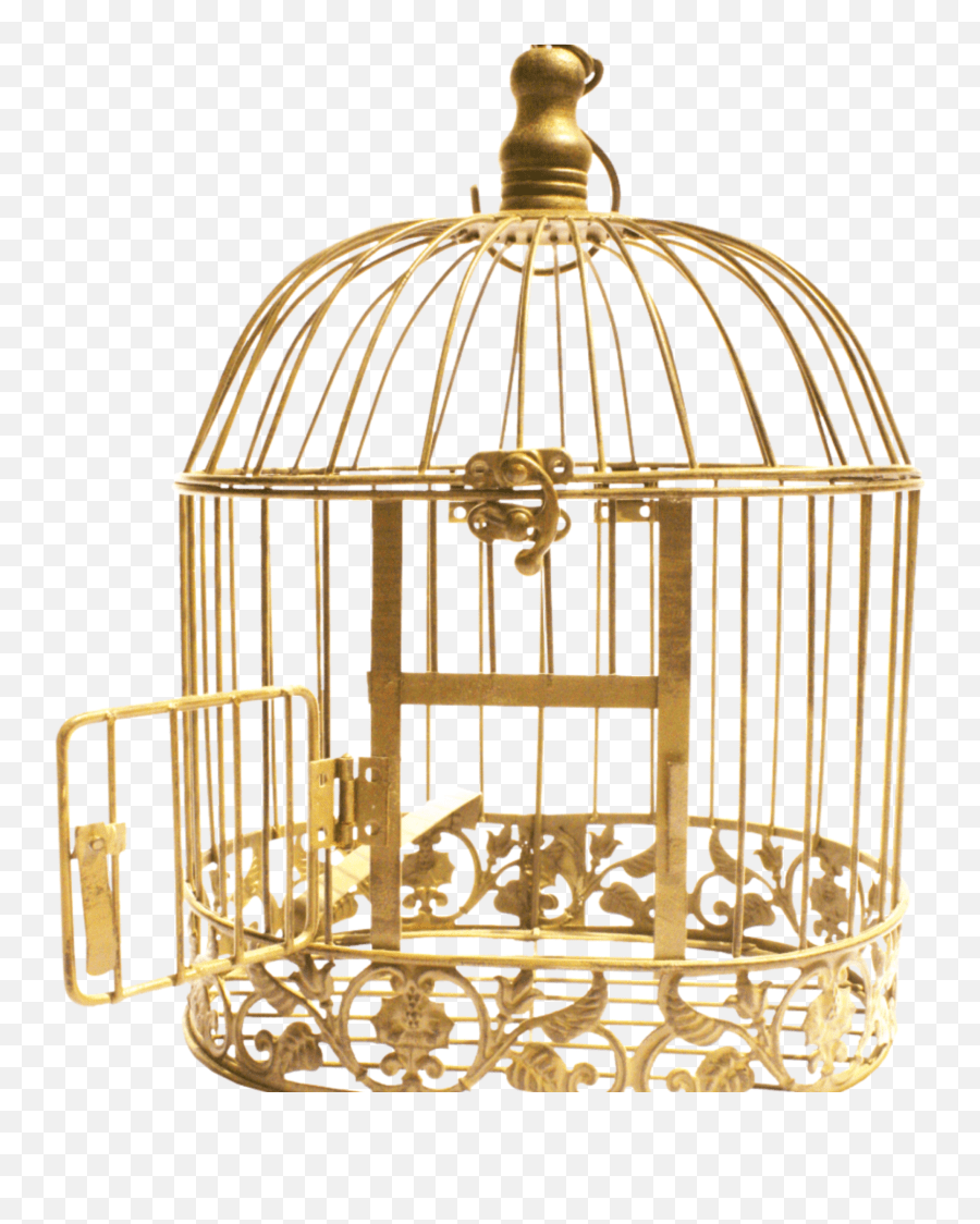 Cage Open Sticker Transparent Golden Bird Cage Emoji,Cage Emoji