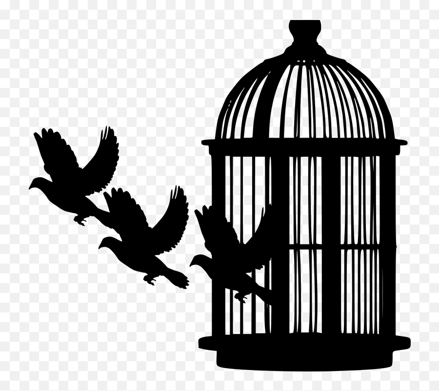 Bird Cage Silhouette Draw A Bird Cage Emoji,Trap House Emoji free