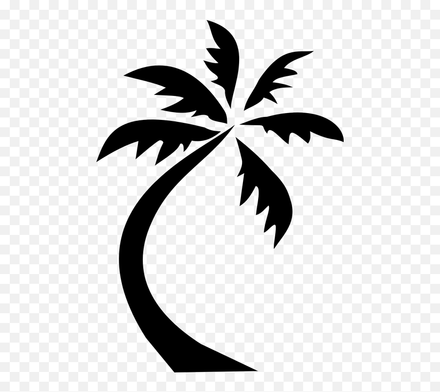Palm Tree Clip Art Black And White Png Transparent Palm Tree Clipart