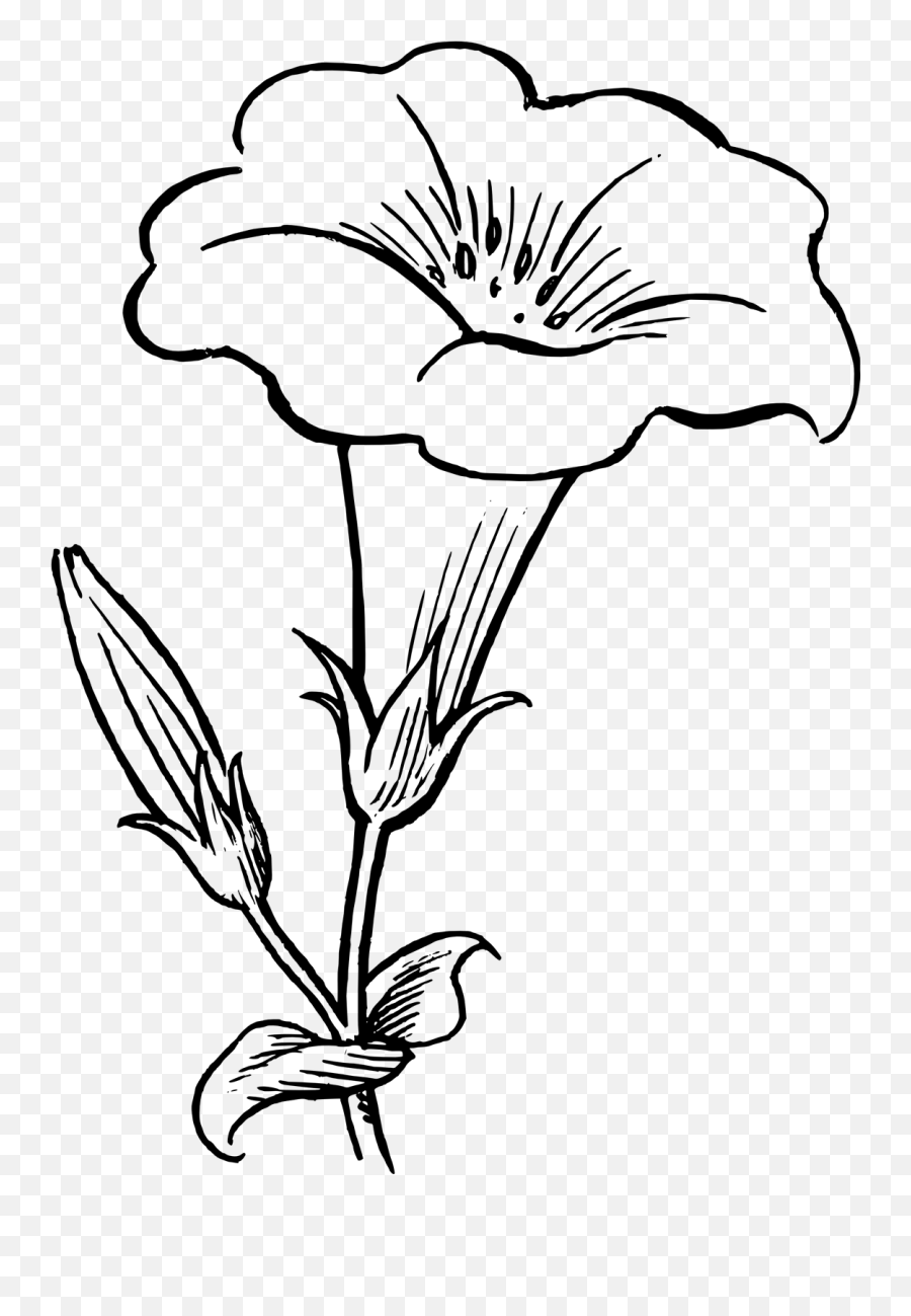 Wilted Flower Drawing Flower In Black And White Emoji,Wilted Flower