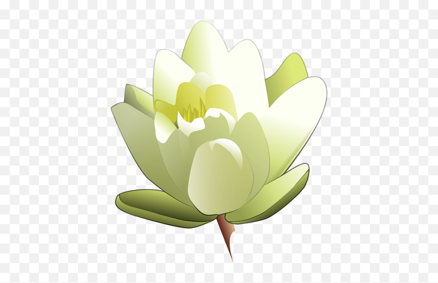 Water Lily Vector Image Water Lily Clipart Emoji,Lily Pad Emoji