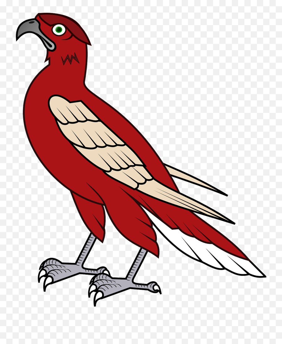 Hawk Bird Falcon Avian Hunter Falcon Animation Emoji,Albanian Eagle Emoji free transparent