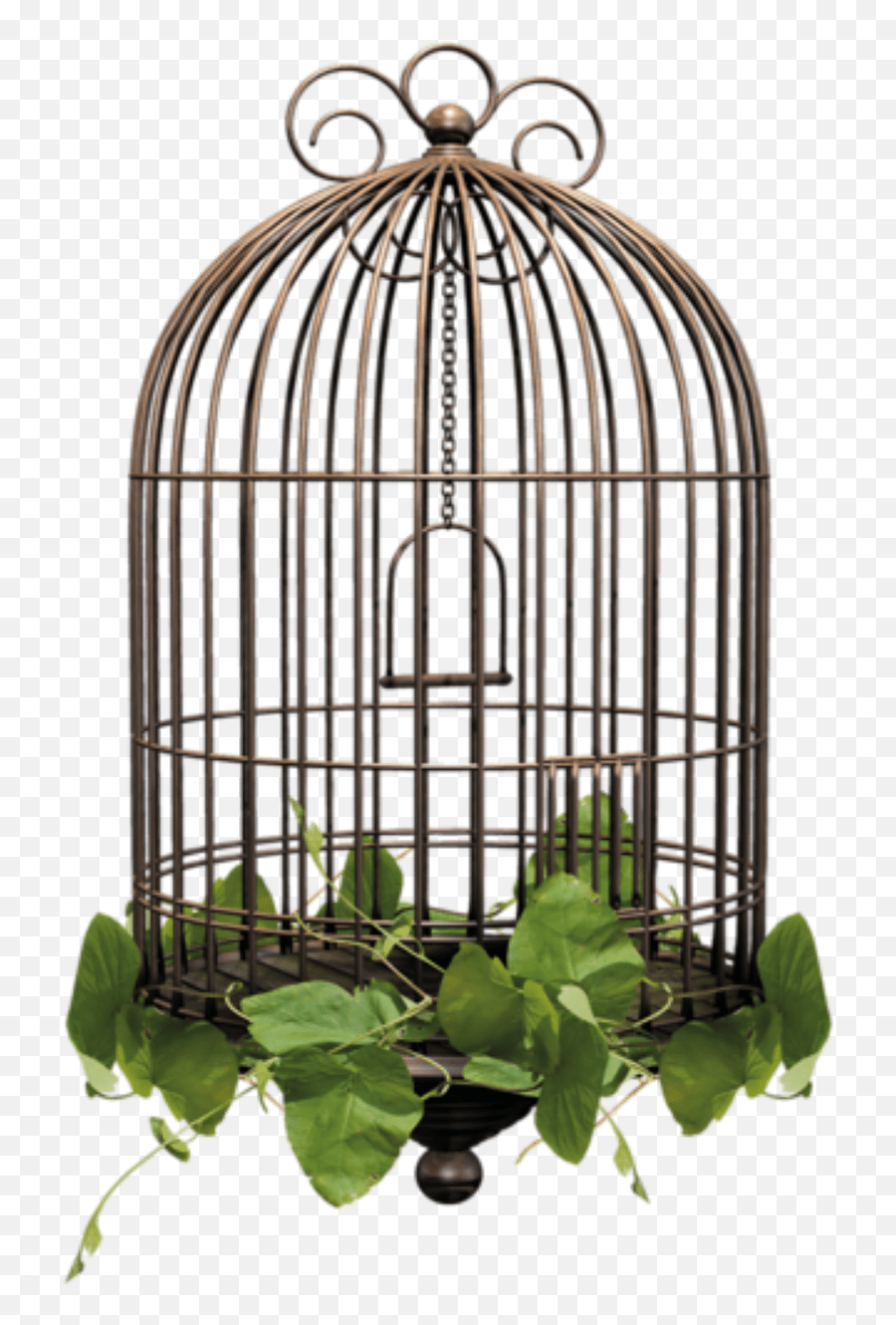Birdcage Cage Sticker By U2022candy U0026 Stewartu2022 El Jardín Café