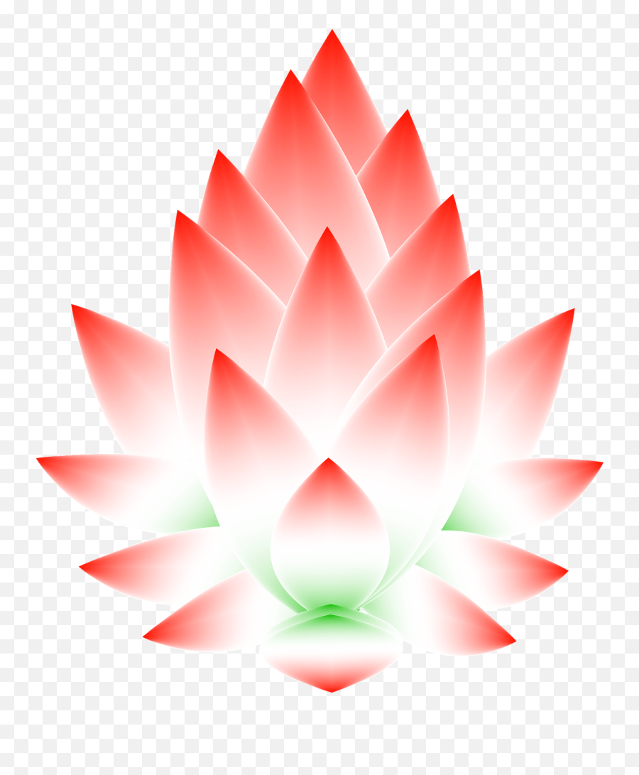 Lotus Flower Blossom Abstract Free Nymphaea Nelumbo Emoji,Lily Pad