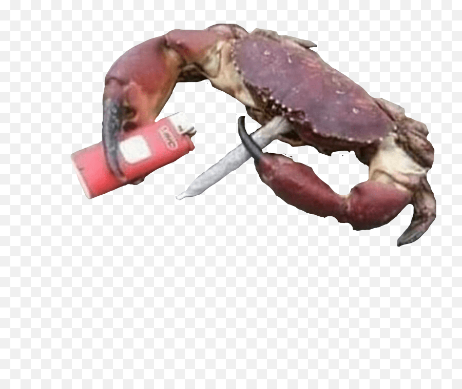 The Newest Crab Stickers American Lobster Emoji,Crab Rave Emoji