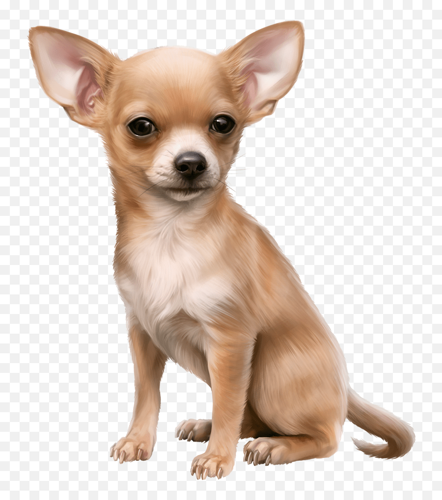 Mileidi46 Chihuahua Clipart Emoji,Chihuahua Emoji free transparent