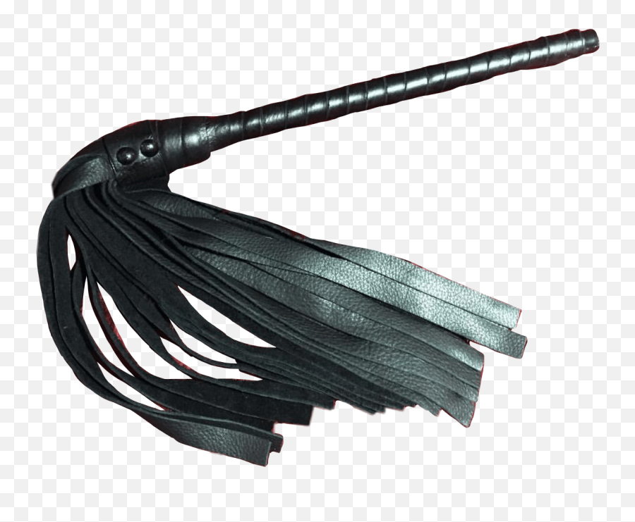 Largest Collection Of Free Optical Fiber Emoji,Whip Emoticon free