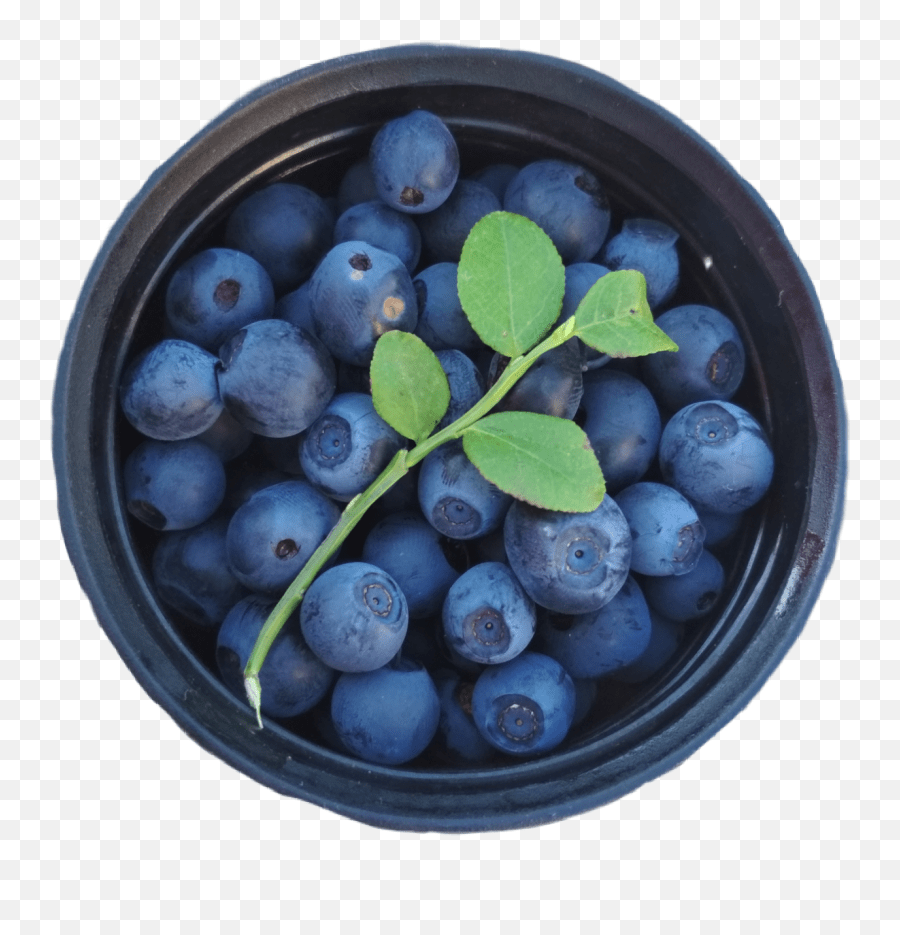 Blueberry Blueberries Blue Berry Blueberry Emoji,Is There A Blueberry Emoji free transparent