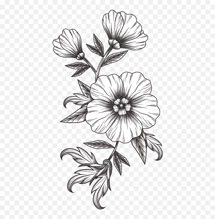 Black White Flower Black And White Flower Emoji,White Flower Emoji