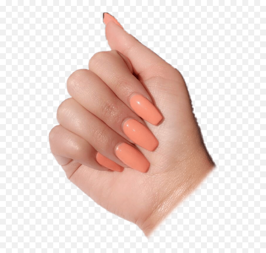 Nails Nail Pngs Peach Acrylic