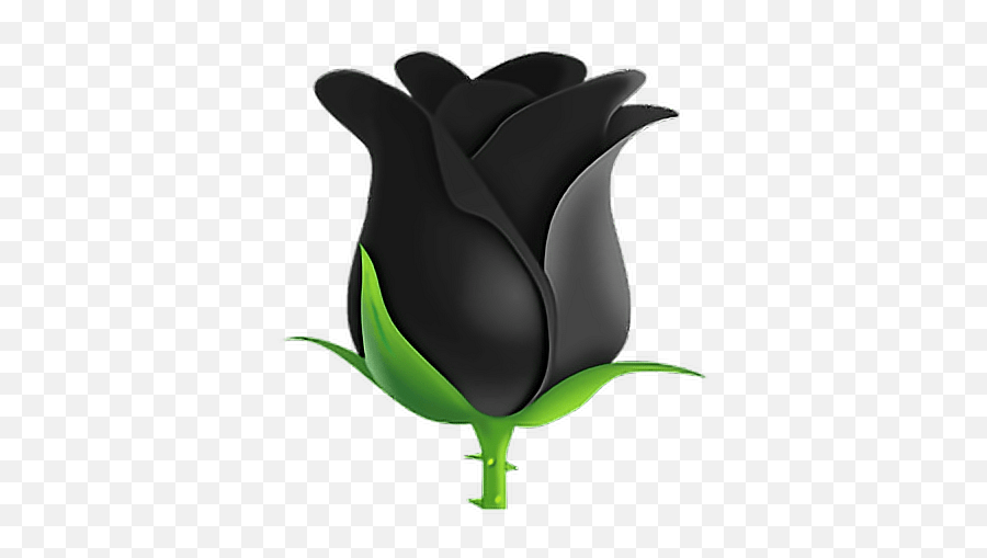 Emoji Emojisticker Sticker Stickers Blackrose Rose Free Black Rose