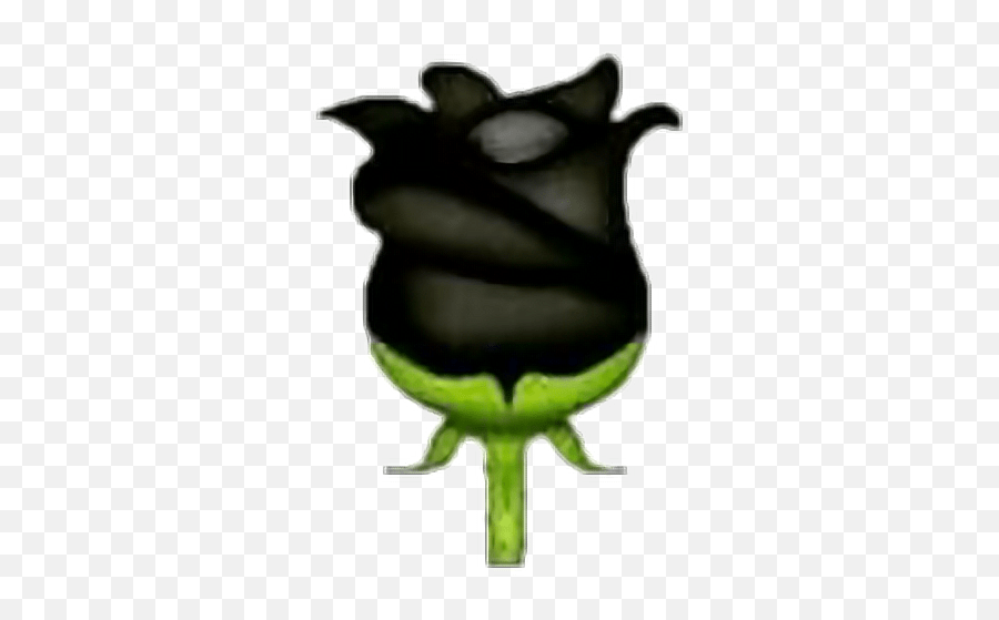 Rose Blackrose Emoji Emojisticker Overlay Overlays Black Rose Emoji