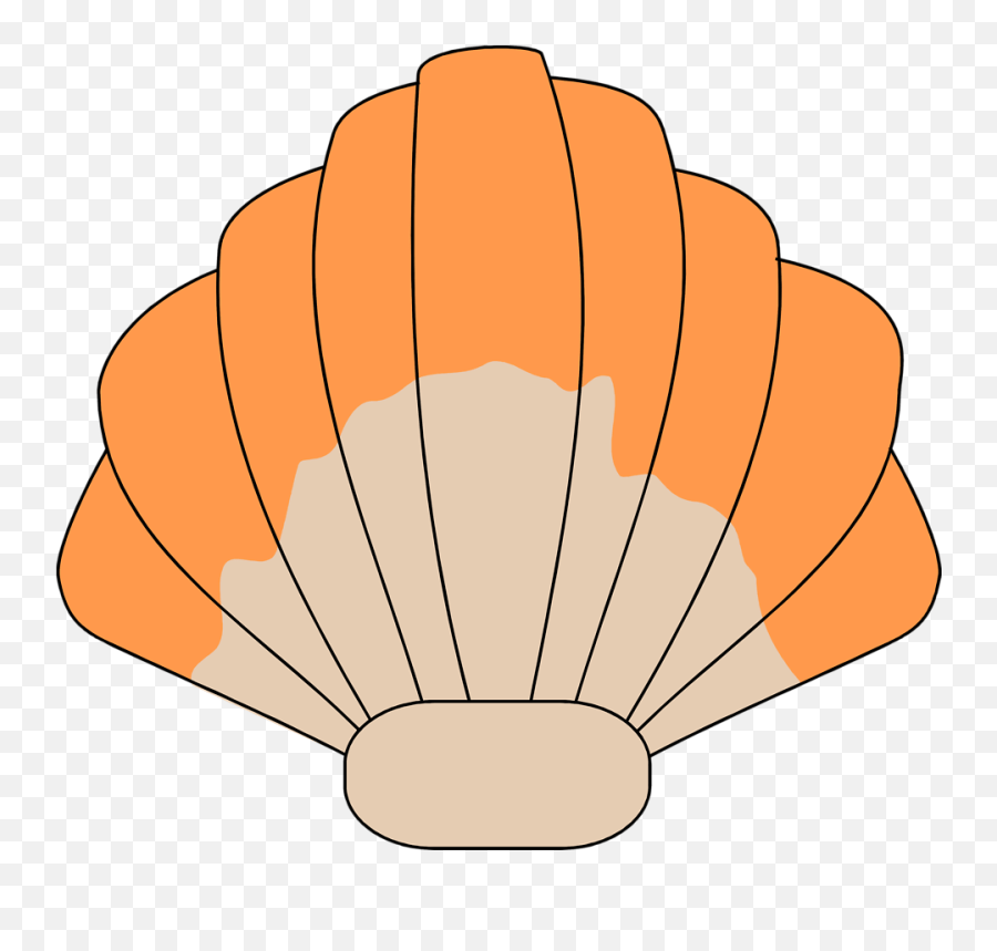 Clam Vector Transparent Png Clipart Transparent Background Shells