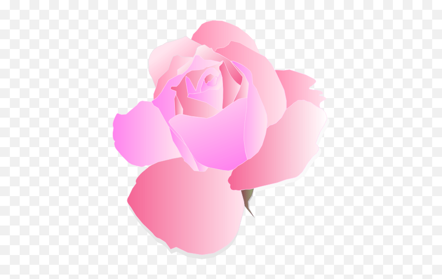 Purple And Pink Rose Transparent Background Png Images Flower Emoji
