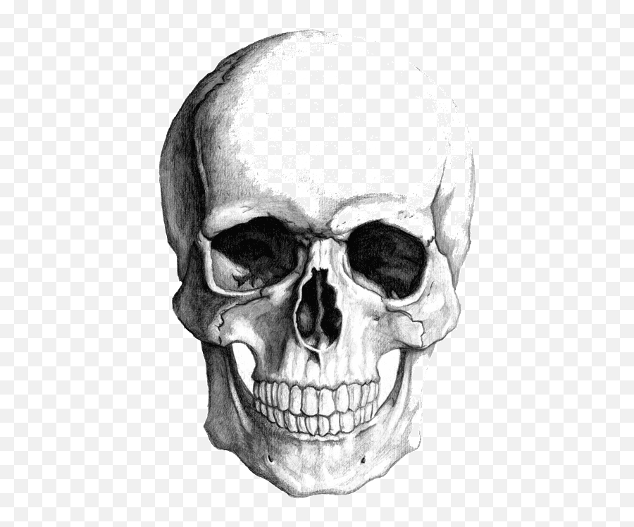 Red Skull Stickers For Android Ios Skeleton Drawing Realistic Emoji