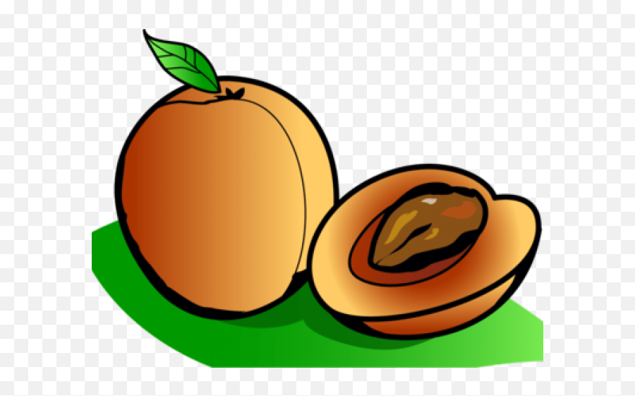 Apricot Clipart Apricots Clipart Emoji,Apricot Emoji free