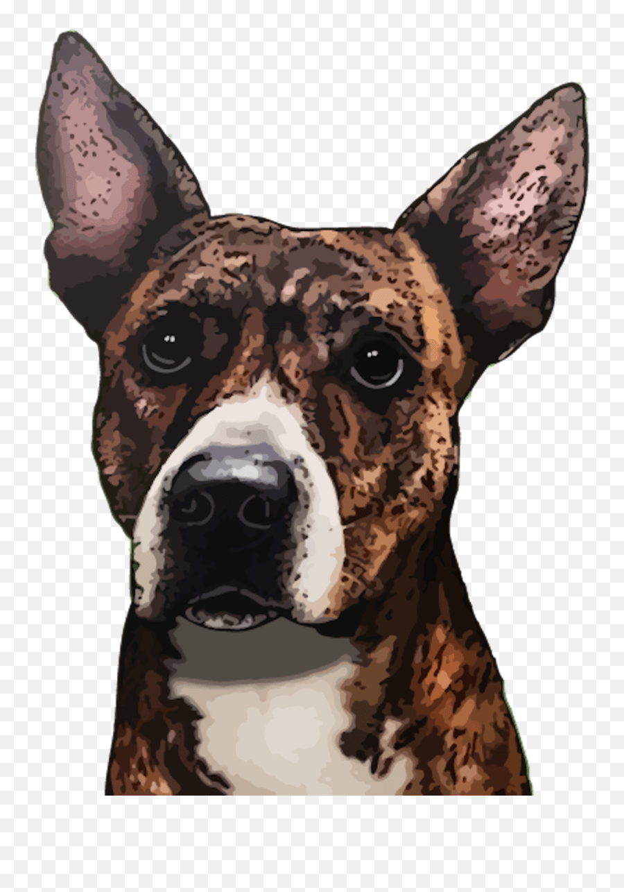 Cookies Dogs Eating Cake Llc Emoji,Dog Treat Emoji free transparent