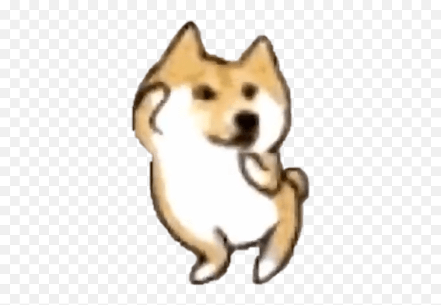 Doge Dance Gif Png Shiyon Wallpaper