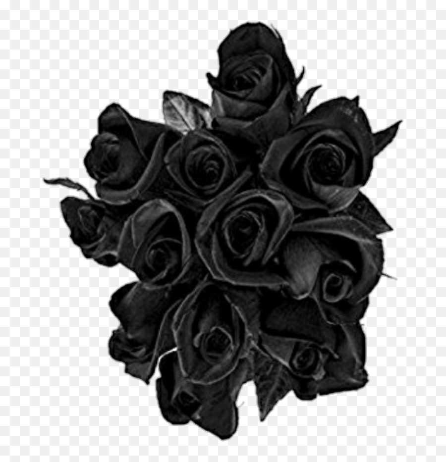 Black Rose Roses Buquet Transparent Black Rose Emoji,Black Rose Emoji