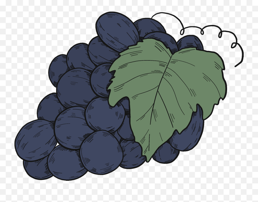 Black Grapes With Leaves Clipart Diamond Emoji,Grapes Emoji free
