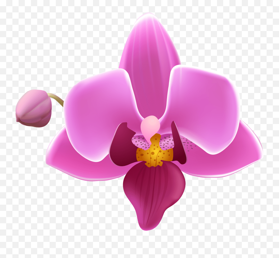 Flower Clipart Orchid Emoji,Orchid Emoji free transparent emoji