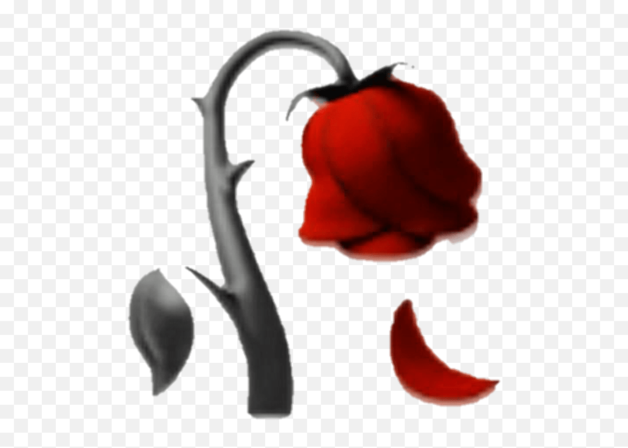 Emoji Rose Redrose Red Sticker Black Emojisti Transparent Dead Rose