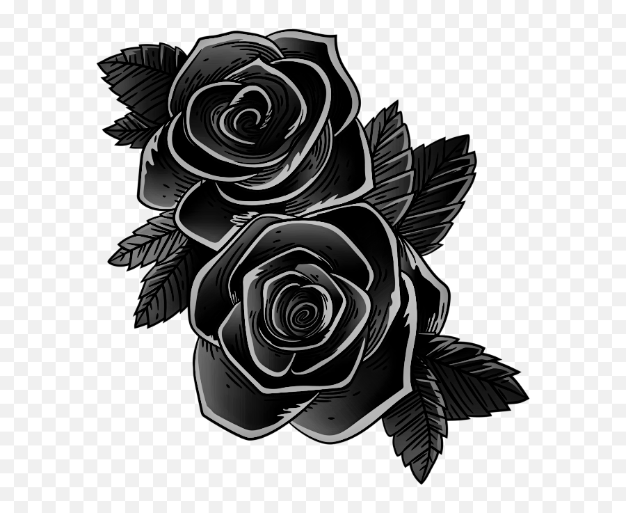 Blackandwhite Black Roses Eose Blackroses Blackrose Blue Flower