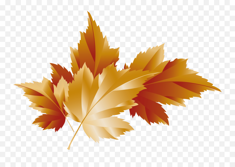 Fall Leaves Clipart Clear Background No Background Brown Leaf Emoji