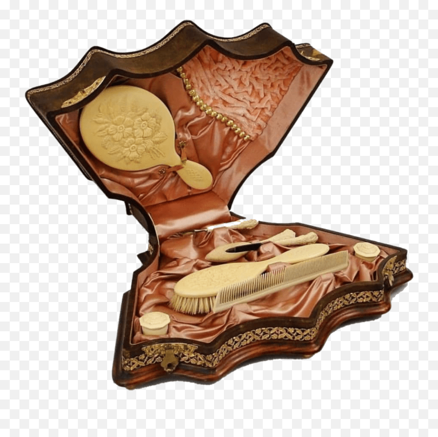 Case Cases Hairbrush Hairbrushes Hair Hair Emoji,Hairbrush Emoji