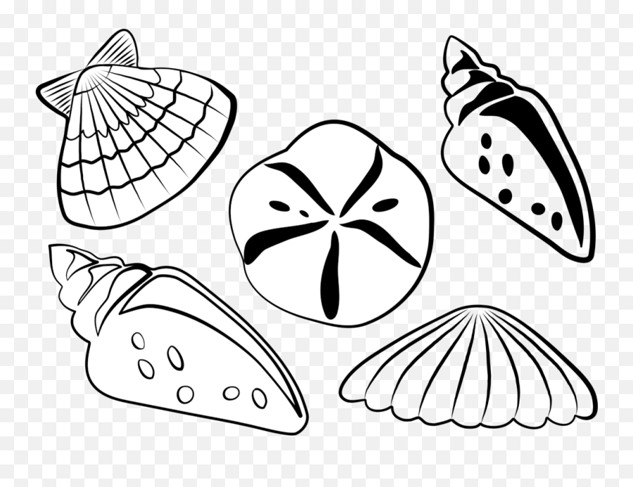 Download Free Png Seashell Clam Sea Shells Clip Art Emoji,Clam Shell
