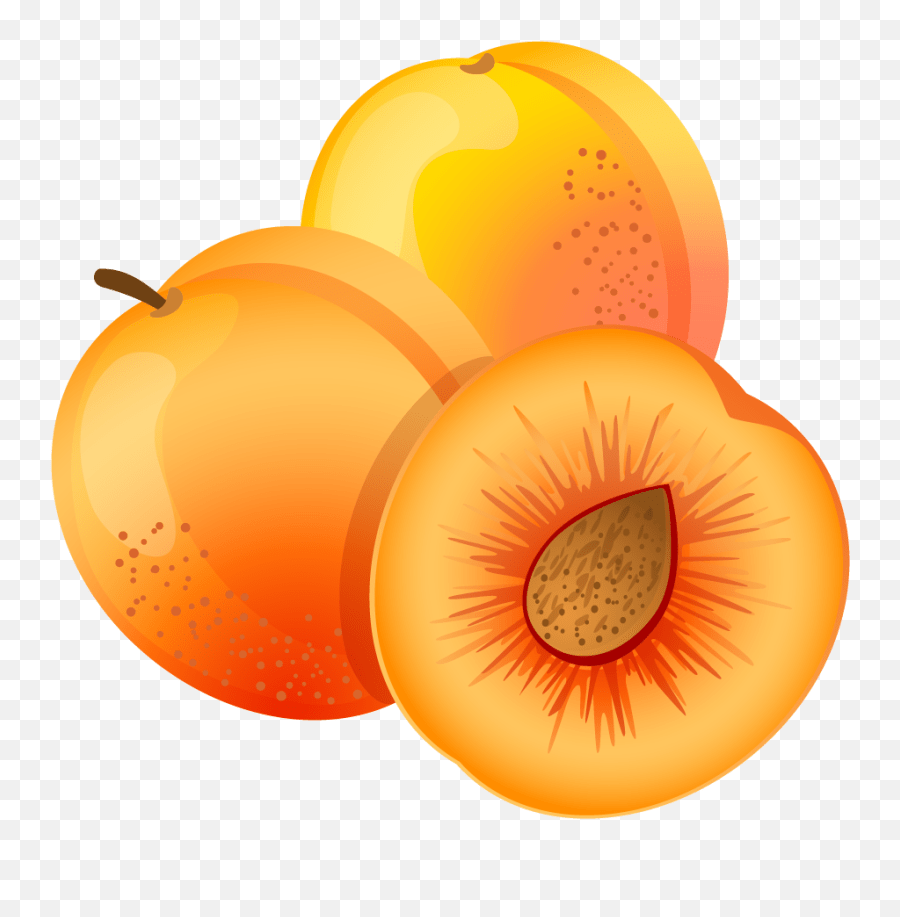 Apricot Clipart Apricot Clipart Png Emoji,Apricot Emoji free