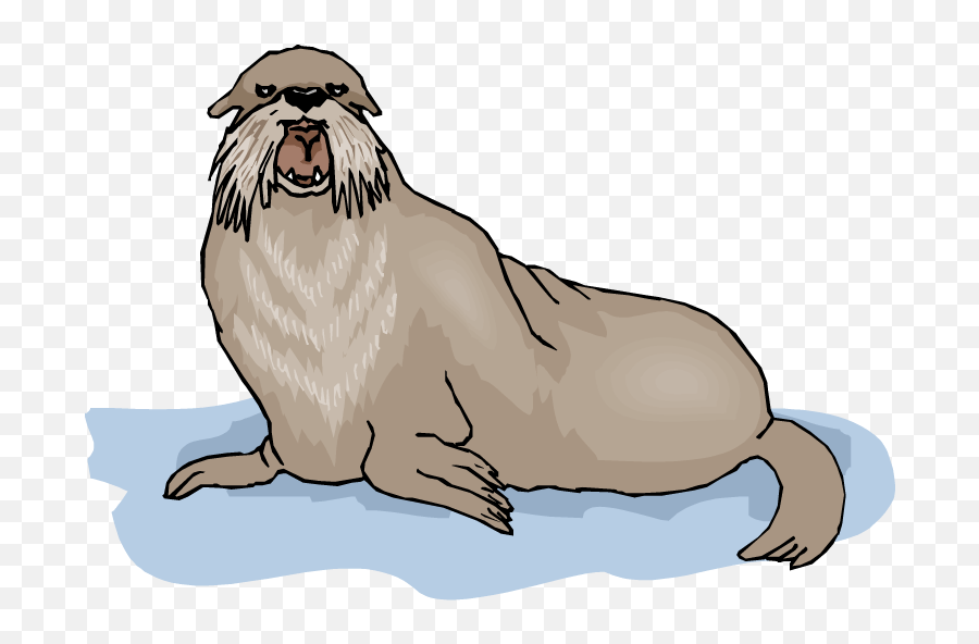 Walrus Background Png Clipart California Sea Lion Emoji,Walrus Emoji