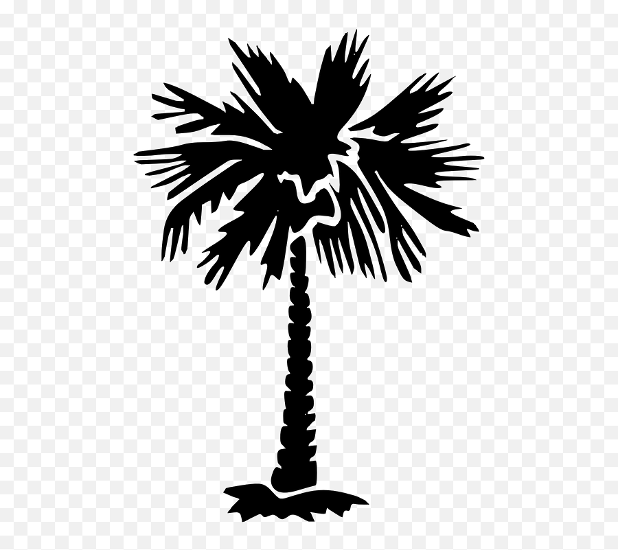 Palm Tree Silhouette Jahkoy California Heaven Ft Schoolboy Q Emoji