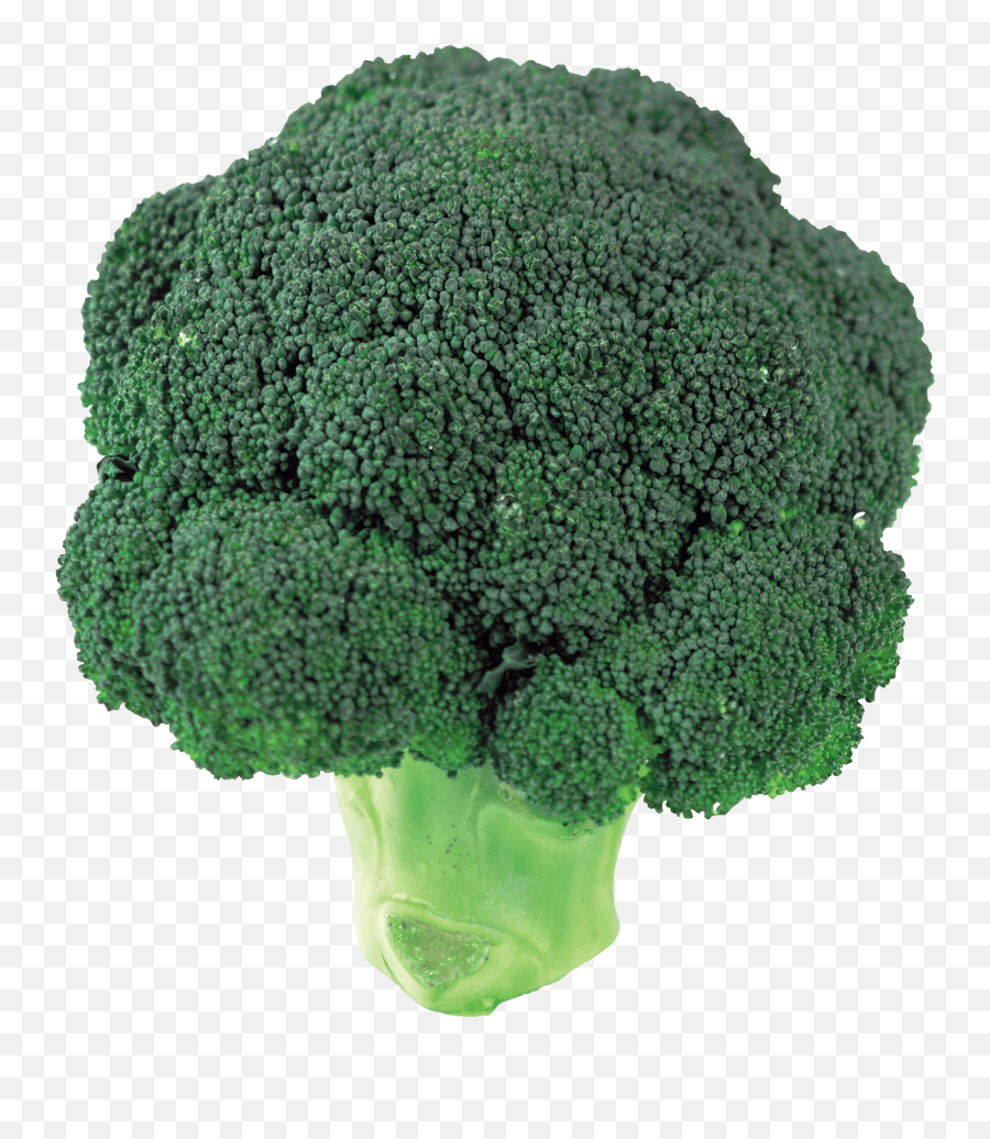 Broccoli Transparent Broccoli Png Emoji,Broccoli Emoji free
