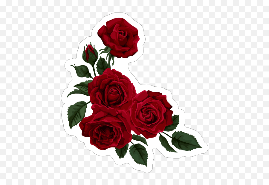 Deep Red Roses Flower Stickers Beautiful Red Roses Valentines Day