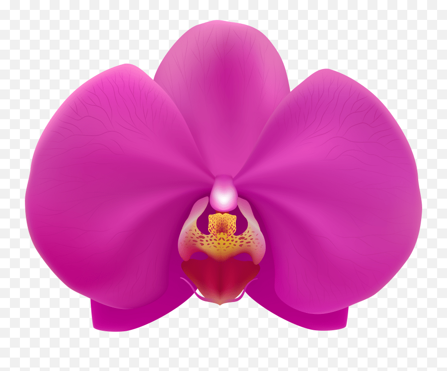 Orchid Clipart Emoji,Orchid Emoji free transparent emoji